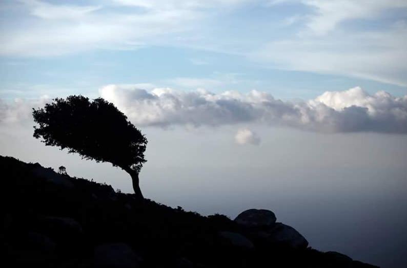 Ikaria Studios Manganitis ภายนอก รูปภาพ